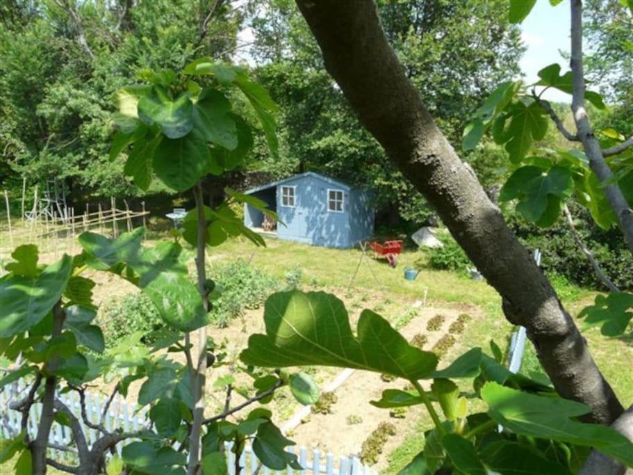 Gite De Charme 80 M², Piscine, Proche D'Uzes. Vezenobres Ngoại thất bức ảnh